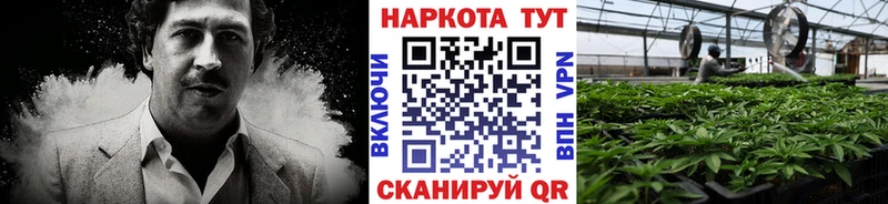 Купить закладку Гаврилов Посад Марихуана  APVP  Codein  Меф  ГАШ 