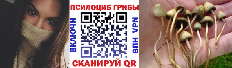 Галлюциногенные грибы GOLDEN TEACHER  Гаврилов Посад 